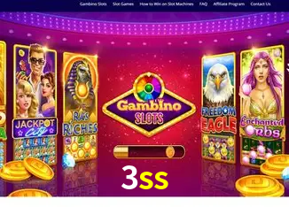 3ss Rio de Janeiro - Bonus Terms